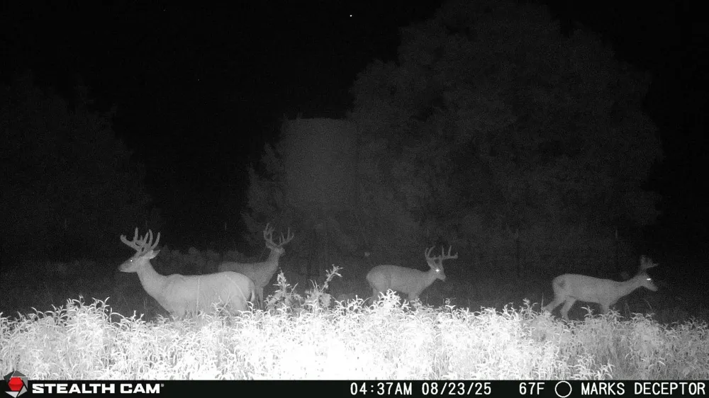 3270 Fm-573 Comanche, TX 76442
