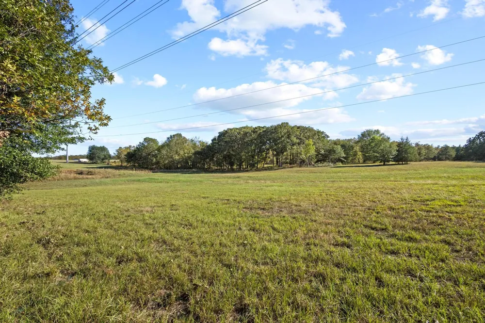 425 Wildflower Way Dodd City, TX 75438