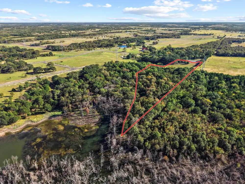 425 Wildflower Way Dodd City, TX 75438