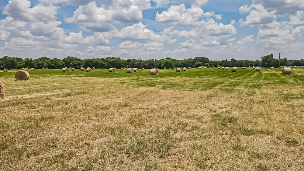 20 Gathings Avenue Covington, TX 76636