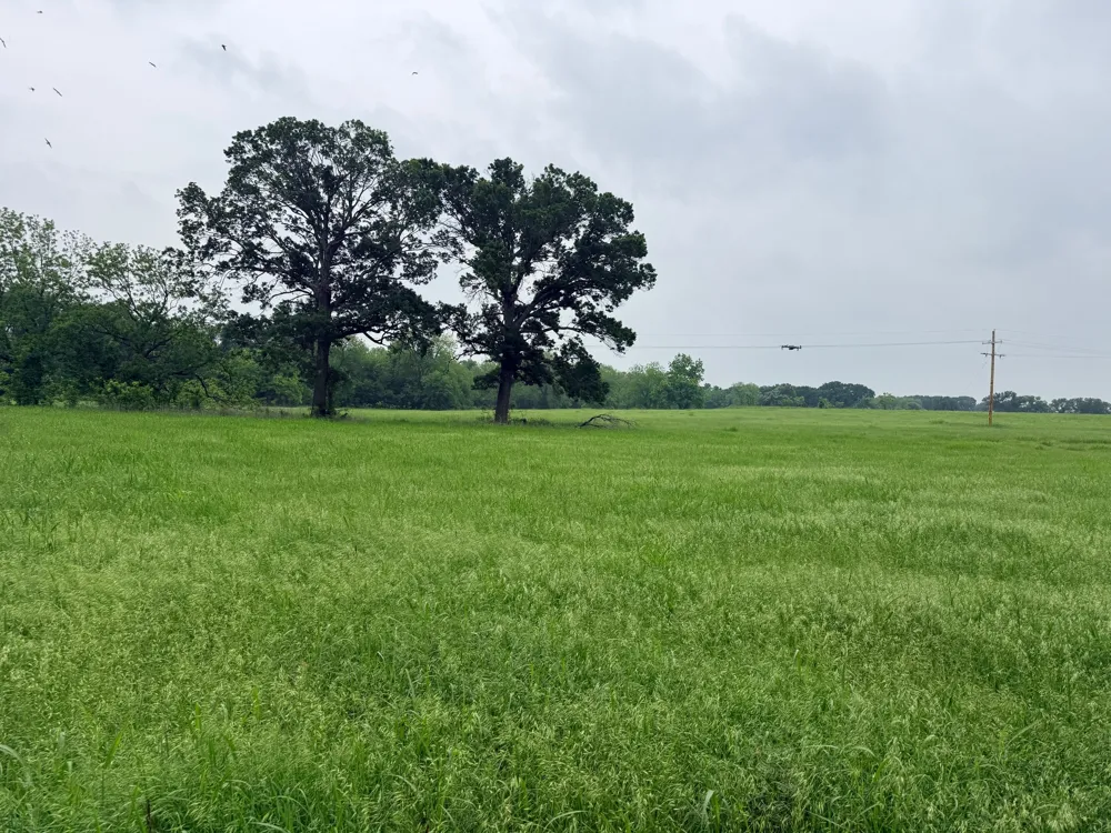 20 Gathings Avenue Covington, TX 76636