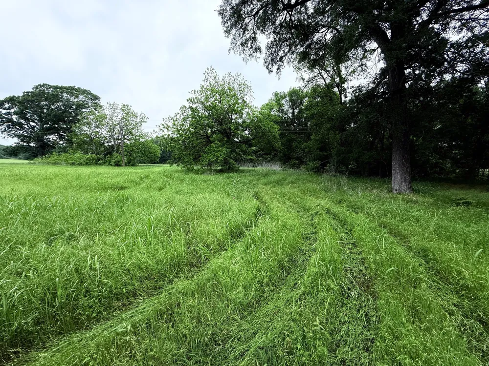 20 Gathings Avenue Covington, TX 76636