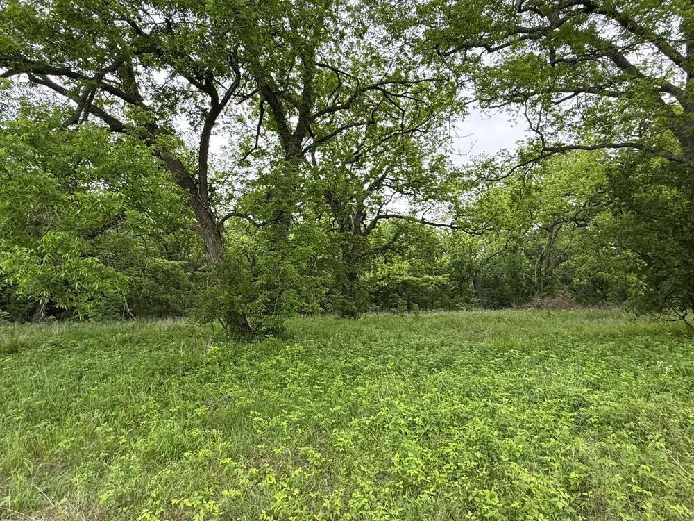 20 Gathings Avenue Covington, TX 76636