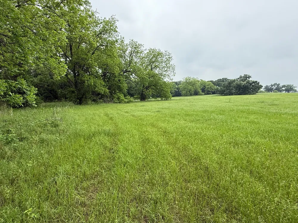 20 Gathings Avenue Covington, TX 76636