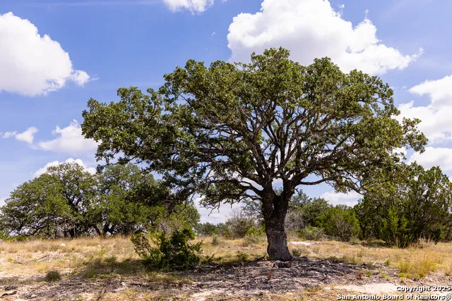 333 Dark Sky Path Kerrville, TX 78028