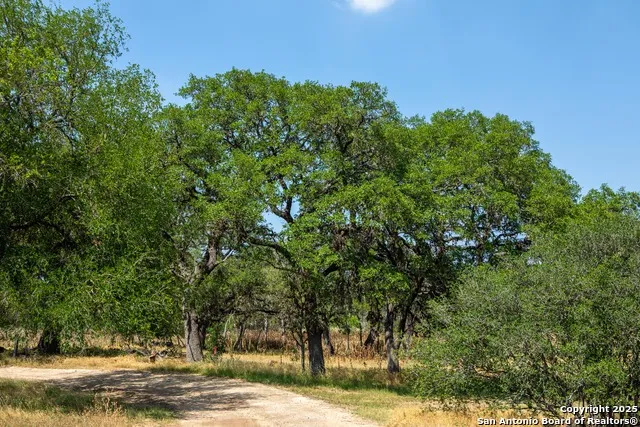 376 Dark Sky Path Kerrville, TX 78028