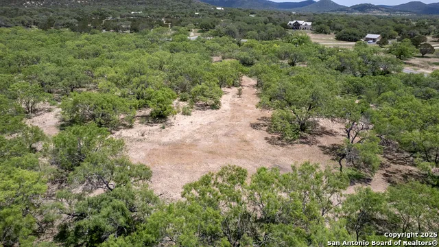 405 Ridge Loop Rio Frio, TX 78879