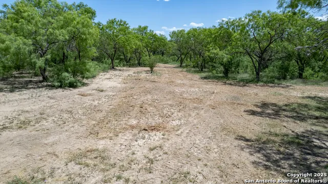 405 Ridge Loop Rio Frio, TX 78879