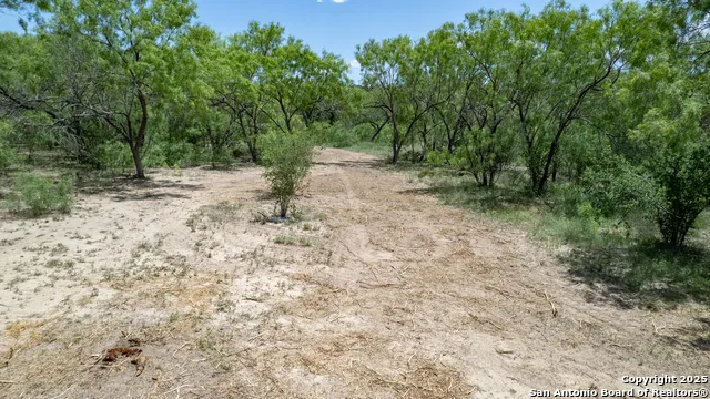405 Ridge Loop Rio Frio, TX 78879