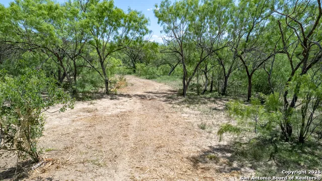405 Ridge Loop Rio Frio, TX 78879