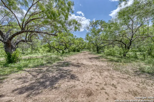 405 Ridge Loop Rio Frio, TX 78879