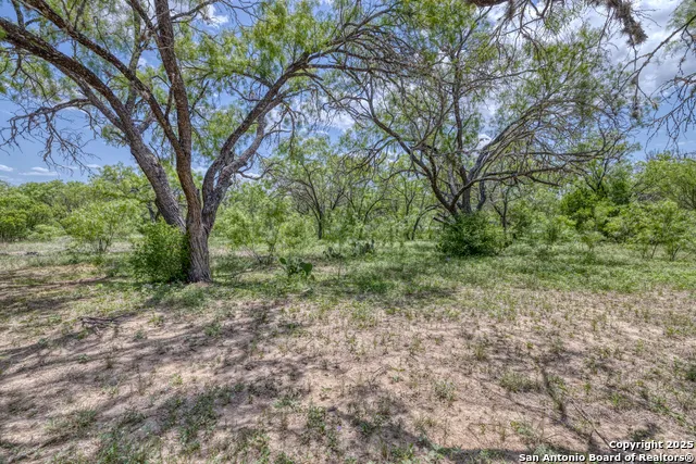 405 Ridge Loop Rio Frio, TX 78879