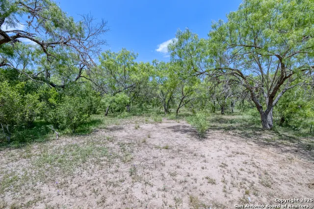 405 Ridge Loop Rio Frio, TX 78879
