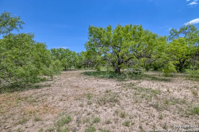 405 Ridge Loop Rio Frio, TX 78879