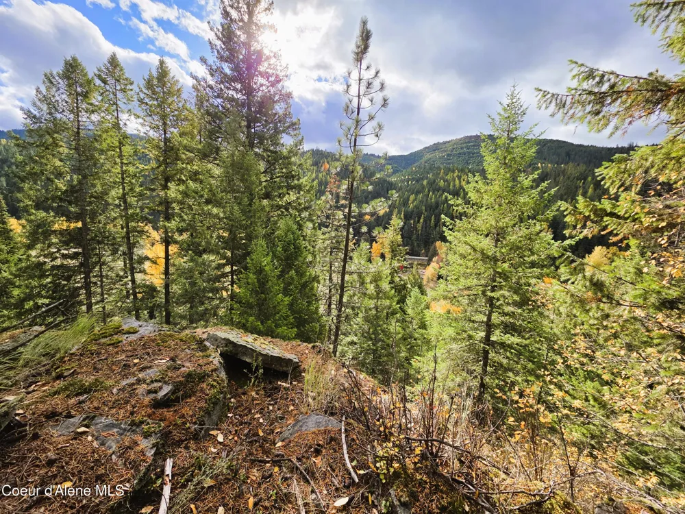 10755 OLD RIVER ROAD Kingston, ID 83839