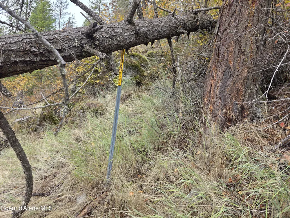 10755 OLD RIVER ROAD Kingston, ID 83839