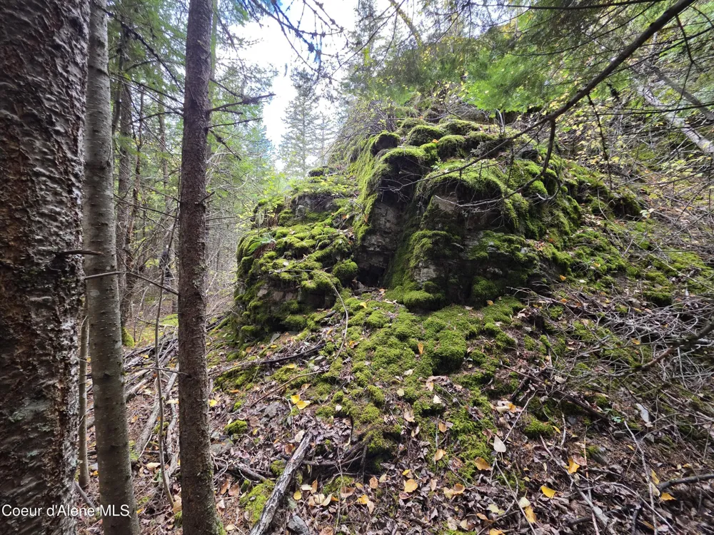 10755 OLD RIVER ROAD Kingston, ID 83839