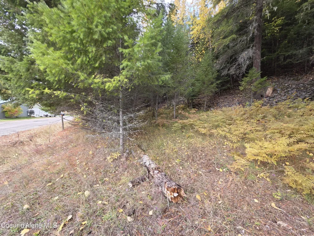 10755 OLD RIVER ROAD Kingston, ID 83839