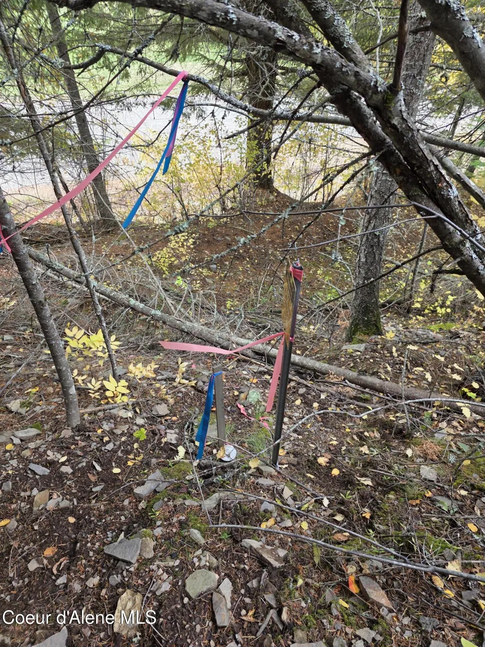 10755 OLD RIVER ROAD Kingston, ID 83839