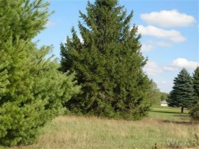 7618 Red Fox Road #43 Canadian Lakes, MI 49346