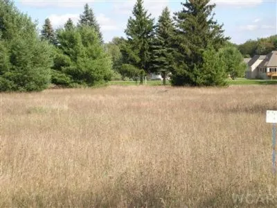 7618 Red Fox Road #43 Canadian Lakes, MI 49346