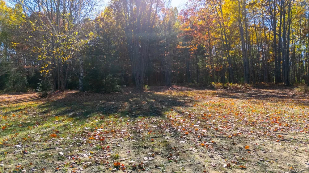 2385 W Houghton Lake Drive Denton Township, MI 48629