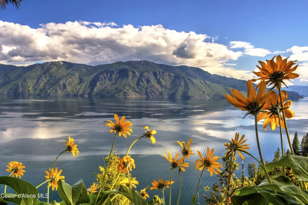 1770 Garfield Bay Road Sagle, ID 83860