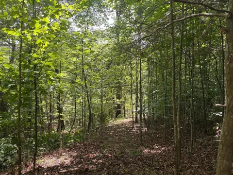 202 Deep Woods Drive