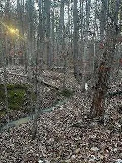 00 River Ridge Trail
