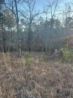 00 River Ridge Trail Sparta, GA 31087