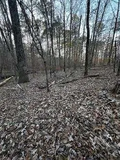 00 River Ridge Trail Sparta, GA 31087