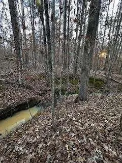 00 River Ridge Trail Sparta, GA 31087