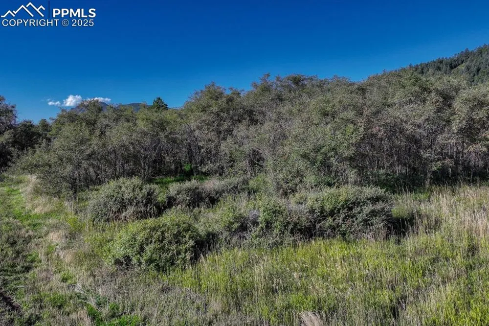 15989 S Perry Park Road Larkspur, CO 80118