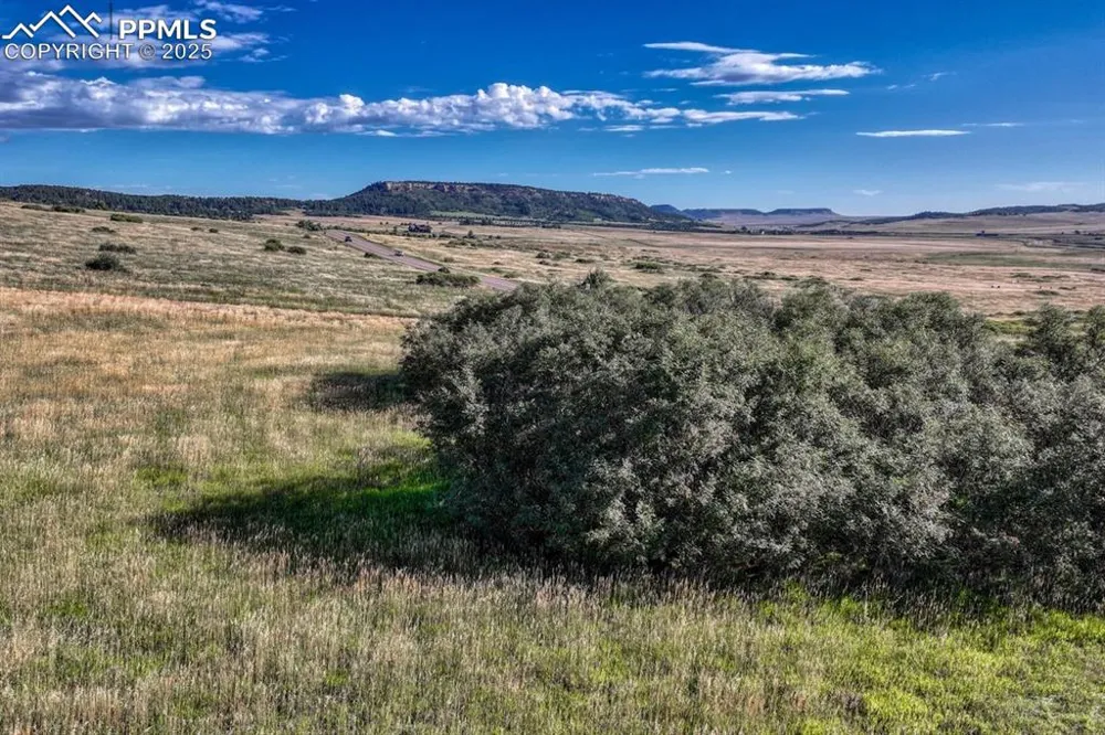 15989 S Perry Park Road Larkspur, CO 80118