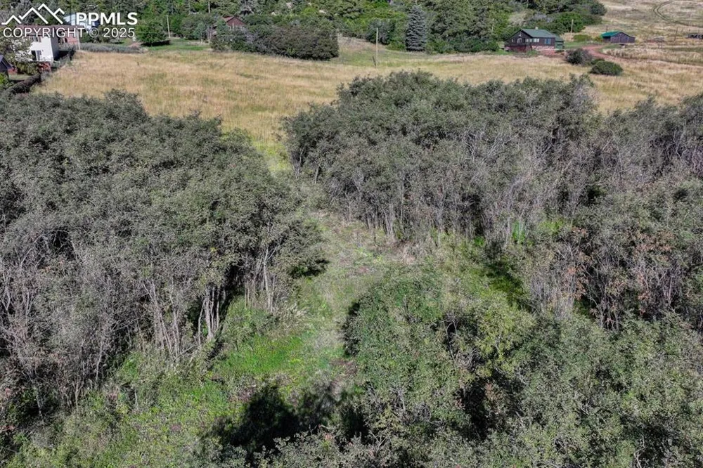 15989 S Perry Park Road Larkspur, CO 80118