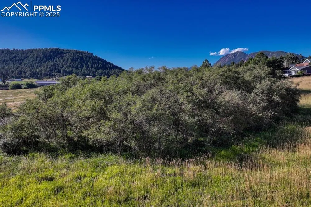 15989 S Perry Park Road Larkspur, CO 80118