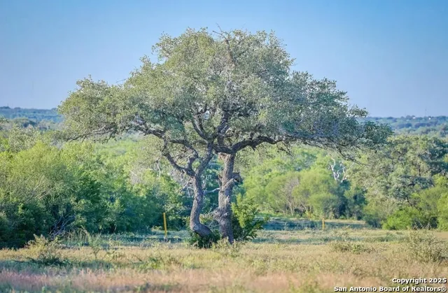 000 County Line Rd # 120 Beeville, TX 78102