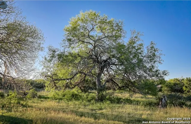 000 County Line Rd # 120 Beeville, TX 78102