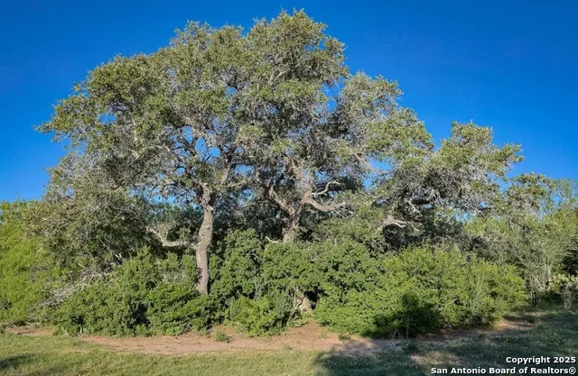 000 County Line Rd # 120 Beeville, TX 78102