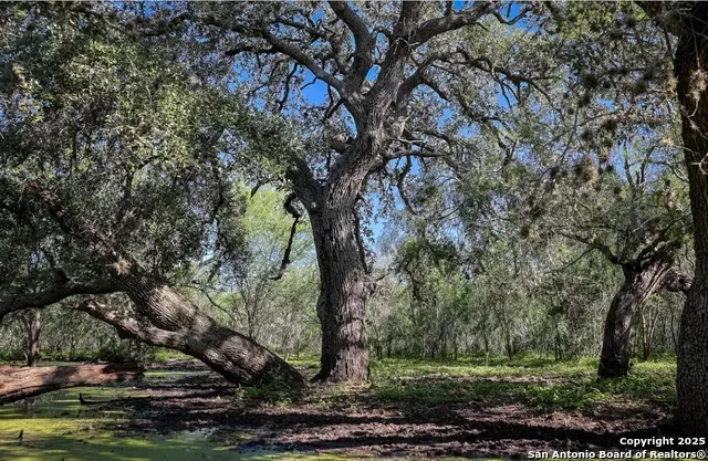 000 County Line Rd # 120 Beeville, TX 78102