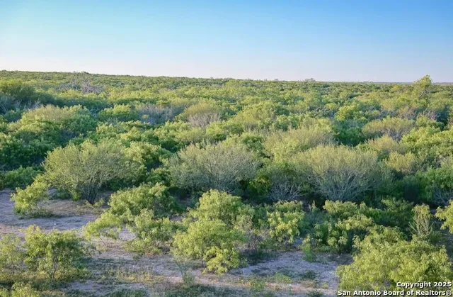 000 County Line Rd # 120 Beeville, TX 78102