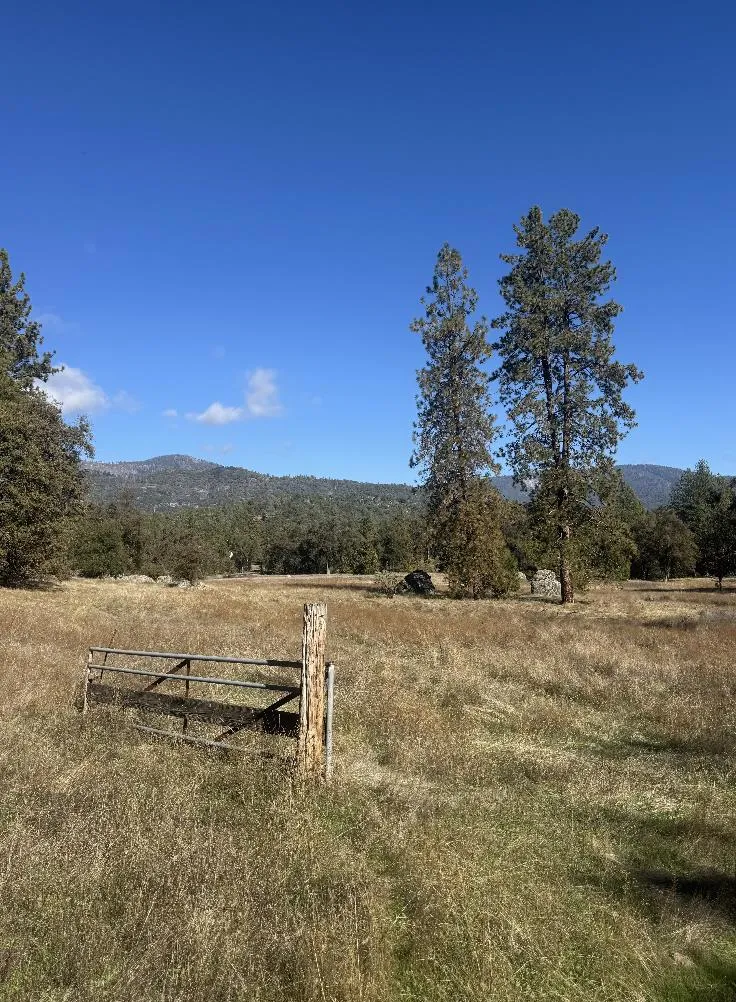 2795 State Highway 49 Mariposa, CA 95338