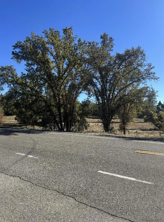 2795 State Highway 49 Mariposa, CA 95338