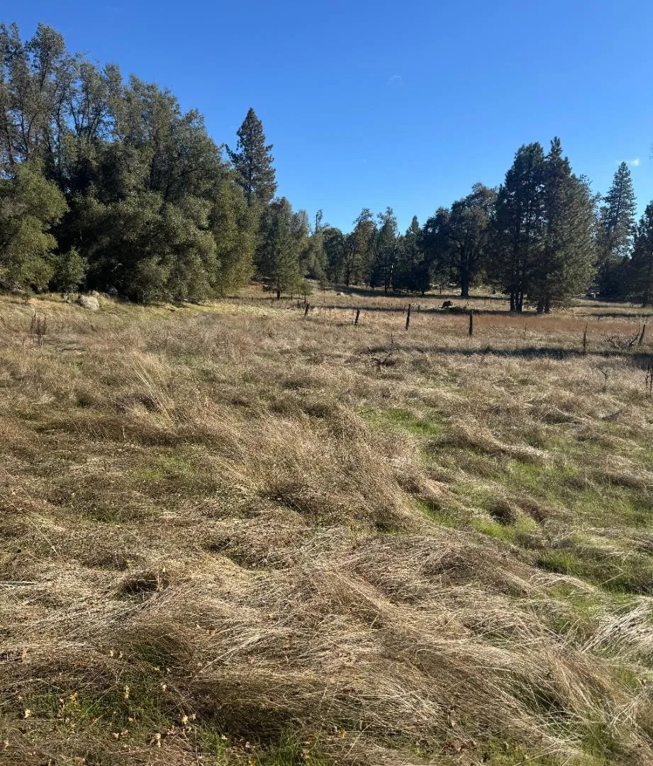 2795 State Highway 49 Mariposa, CA 95338