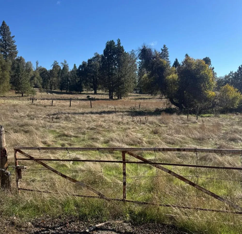 2795 State Highway 49 Mariposa, CA 95338