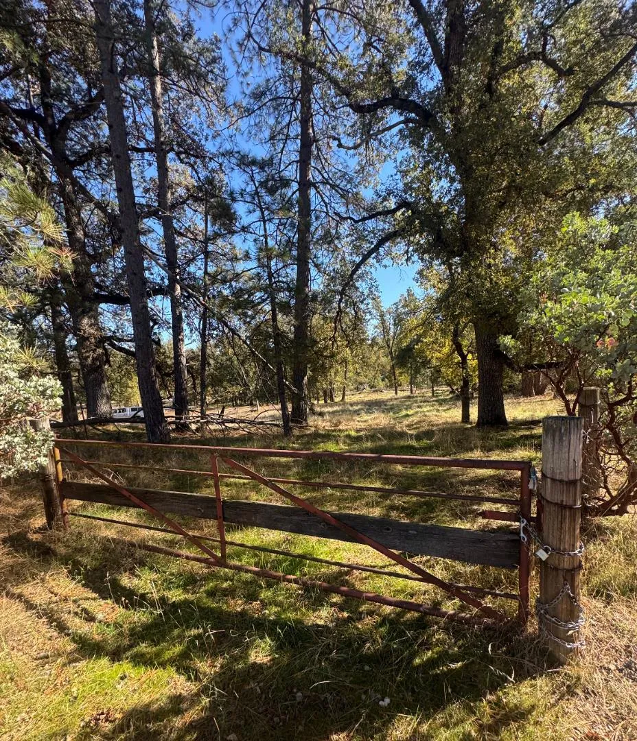2795 State Highway 49 Mariposa, CA 95338