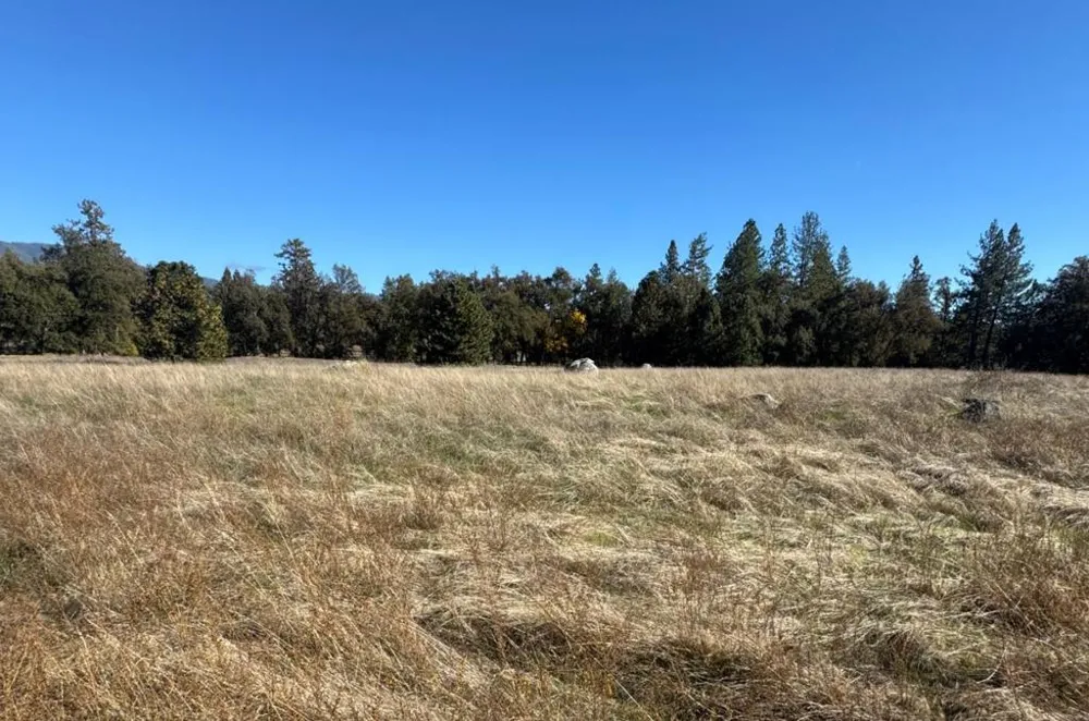 2795 State Highway 49 Mariposa, CA 95338