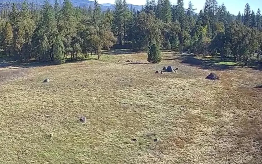 2795 State Highway 49 Mariposa, CA 95338
