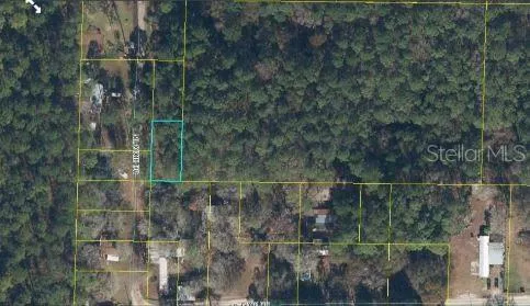 17847 LIL DIXIE DRIVE Sanderson, FL 32087