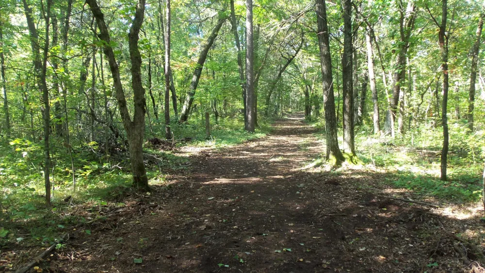 Lot 4 East River Rd Grantsburg, WI 54840